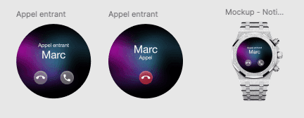 experience projet audemars piguet