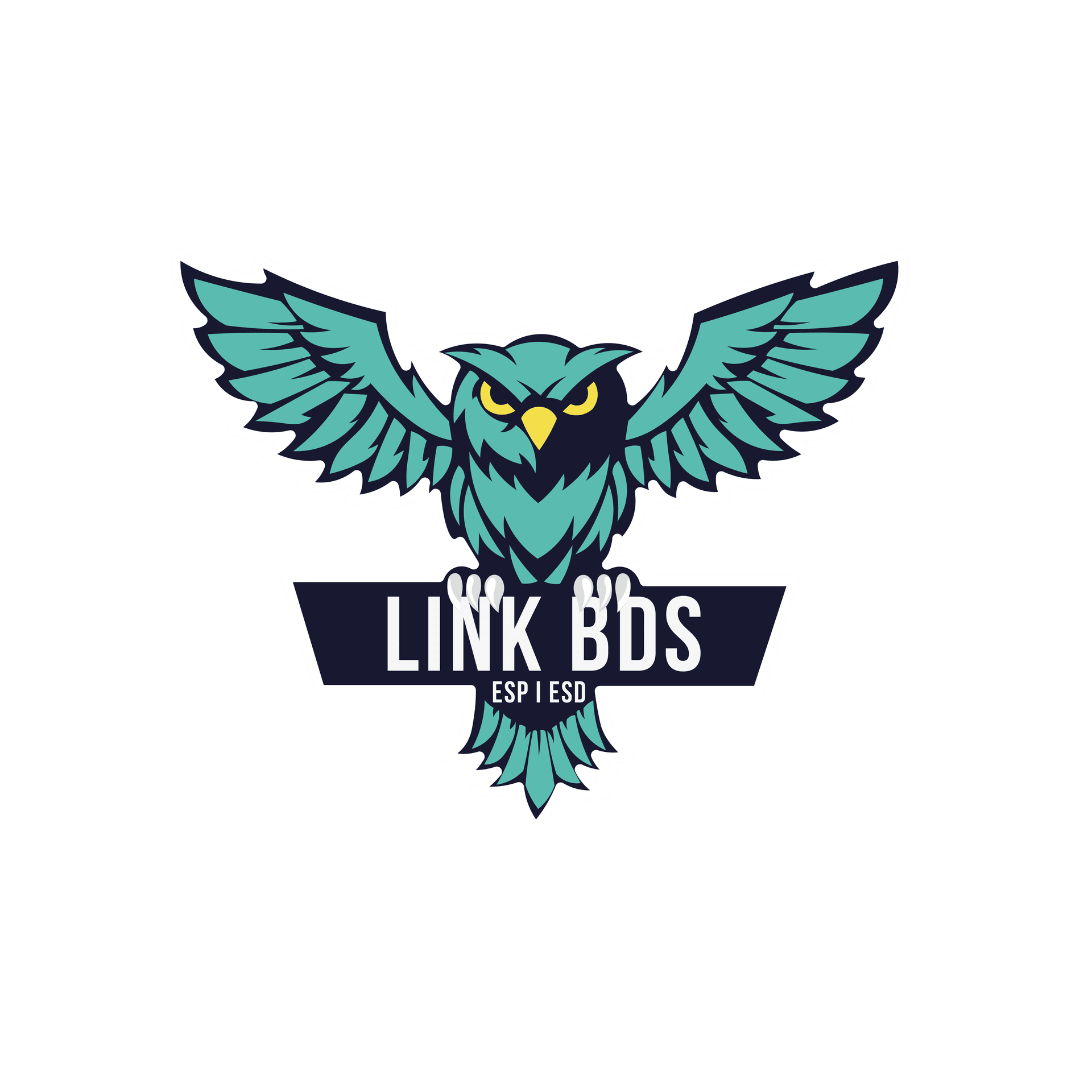 Logo Link BDS Bordeaux