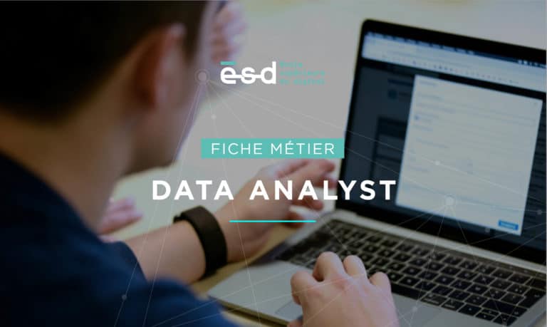 Data Analyst  Fiche Métier 2023  Formation, salaire, missions